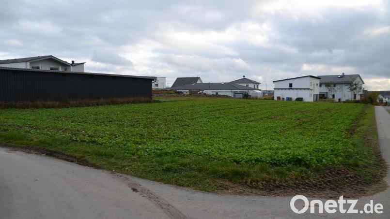 Auf einem Grundstück, das unmittelbar an das Wohngebiet Hopfengarten anschließt, soll eine 20,6 mal 50,39 Meter große und rund 6 Meter hohe Halle entstehen. Bild: ak