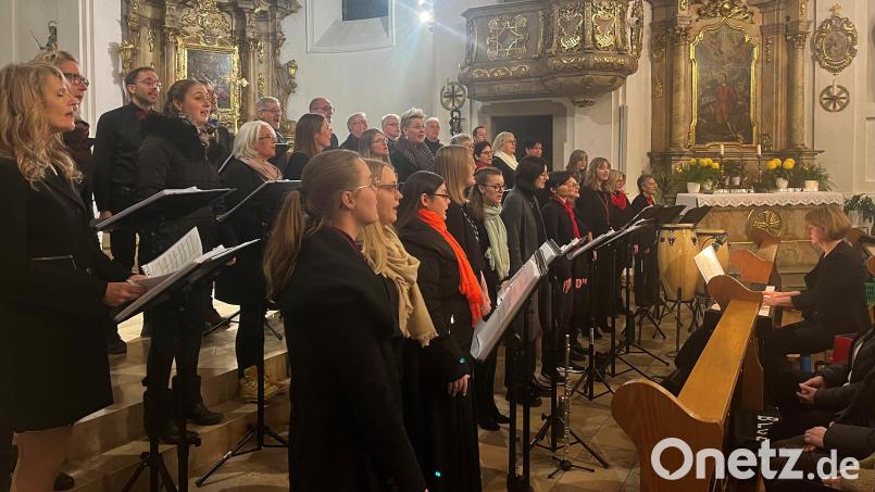 Auch in diesem Jahr tritt der Chor All Generations beim Benefizkonzert des Rotary-Clubs Weiden Max Reger in der Klosterkirche St. Felix auf. Archivbild: vv