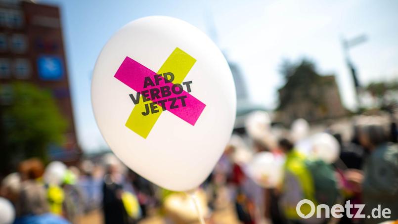 Muss die AfD wegen verfassungsfeindlicher Bestrebungen verboten werden? Die Grünen im bayerischen Landtag setzen sich mit einer Untersuchung für ein Verfahren ein. (Archivbild) Bild: Sina Schuldt/dpa
