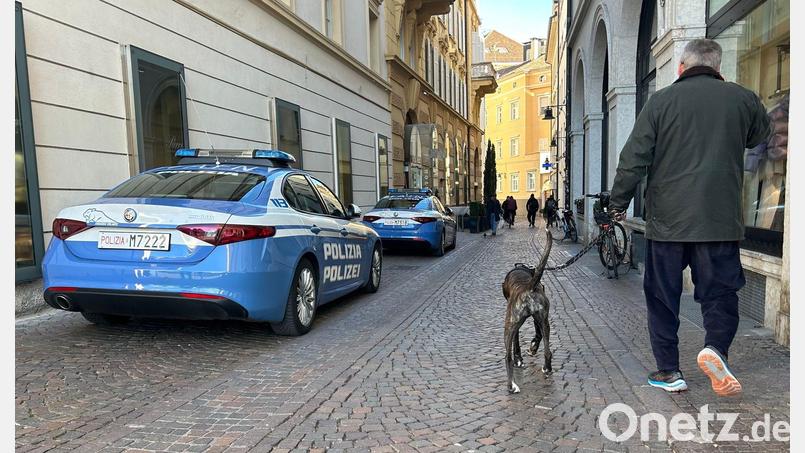 Südtirol verzichtet nun doch auf eine Art Hunde-Kurtaxe. (Archivbild) Bild: Christoph Sator/dpa