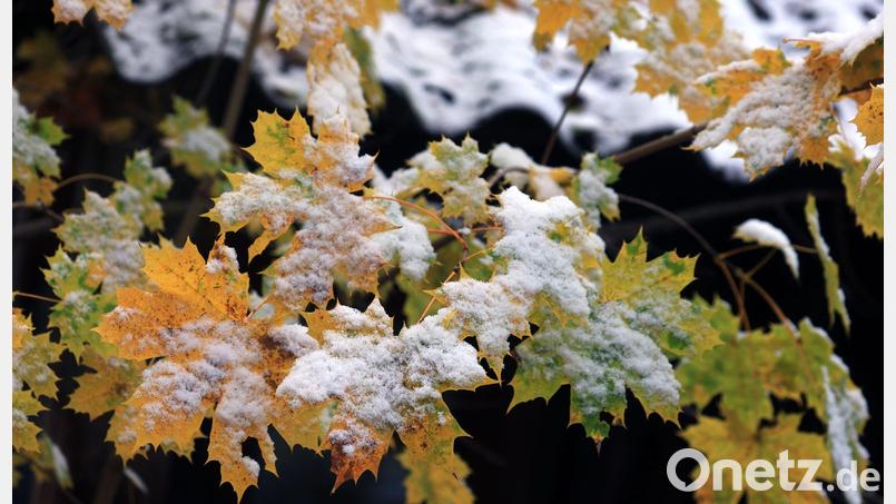 Der Winter löst den Herbst ab. (Archivbild) Bild: Karl-Josef Hildenbrand/dpa