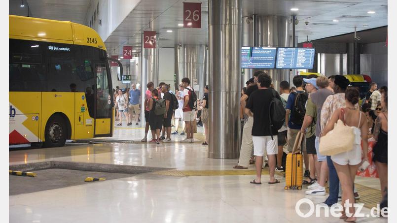 Der Preis für einen Fahrschein in Bus und U-Bahn in Palma wird teurer. Bild: Clara Margais/dpa
