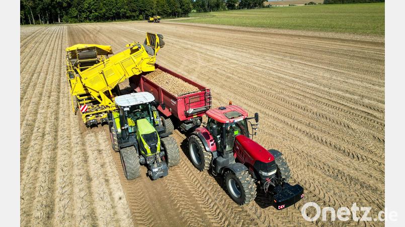 Die Kartoffelbauern haben in diesem Jahr eine sehr gute Ernte eingefahren - es sind sogar zu viele Kartoffeln, die Preise sind relativ schlecht. (Archivfoto) Bild: Jan Woitas/dpa