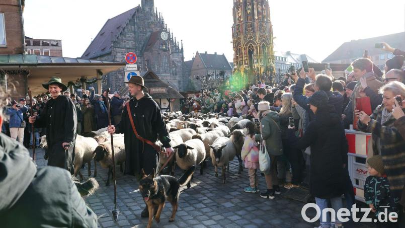 Eine Herde mit 600 Schafen ist in Nürnberg mitten durch die Stadt zu ihren Winterweiden gezogen. Bild: Daniel Löb/dpa