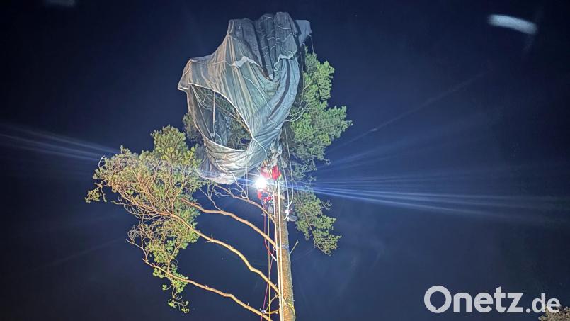 Die Bergwacht Weiden musste am Donnerstagabend auf dem Gelände des Truppenübungsplatzes Grafenwöhr einen Fallschirmspringer retten, der sich in der Krone einer Kiefer verheddert hatte. Bild: Bergwacht Weiden/exb