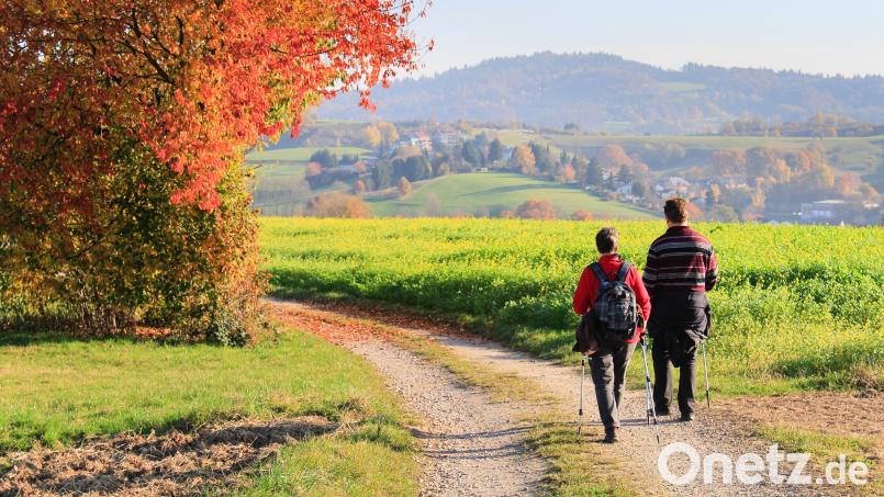 Wanderer sind die glücklicheren Menschen. Symbolbild: Elsa Becke – stock.adobe.com