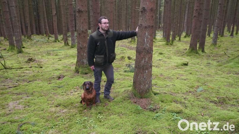 Tobias Ott ist oft im Wald mit seiner Jagdhündin Luna unterwegs. Bild: fvo
