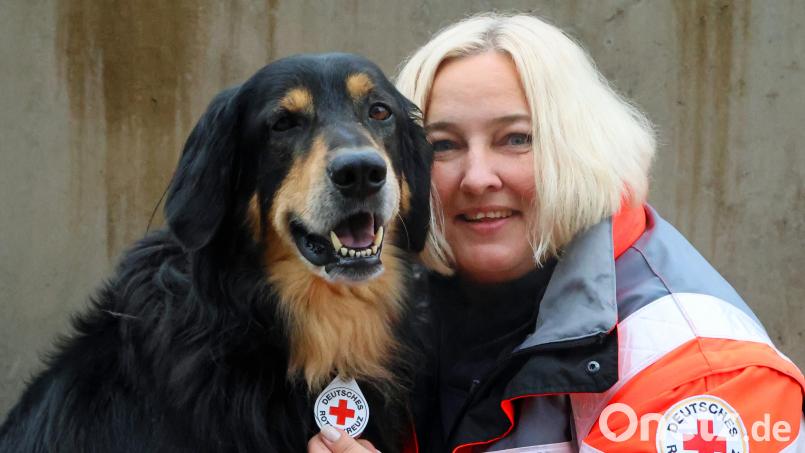 &quot;Lennox&quot;, der siebenjährige Hovawart, ist nun ein geprüfter BRK-Mantrailer. Rettungshunde-Staffelleiterin Melanie Dirscherl ist sein Kompass. Bild: dob