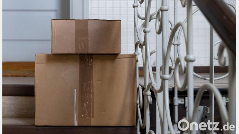 Die Katze hatte sich nach bisherigen Erkenntnissen unbemerkt in den Karton gelegt. Symbolbild: Sven Hoppe/dpa