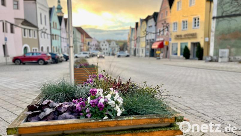 Schon jetzt ist das aktuell wenige Grün auf dem Stadtplatz Neustadt in mobilen Pflanztrögen gepflanzt. Geht es nach dem Wunsch der Stadträte, sollen künftig auf ähnliche Art mobile Bäume für mehr Grün und besseres Klima im Zentrum sorgen. Bild: Gabi Schönberger