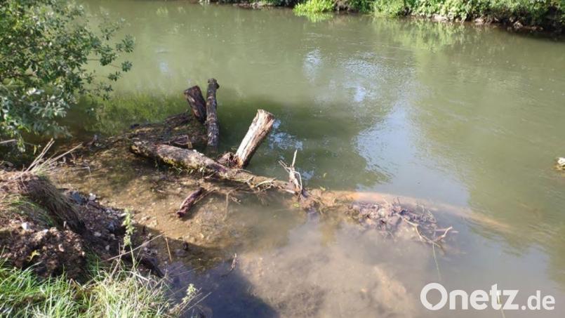 Die Abbildung zeigt einen Wurzelstock sowie einen Baumstamm, die im Ufer verankert und quer zur Fließrichtung eingebaut sind. Hinterfüllt wurden diese mit umgelagertem kiesigem Material. Diese Strukturelemente bieten den Fischen zahlreiche Versteckmöglichkeiten und dienen als Brutstätte für Kieslaicher. Bild: WWA Weiden, Susanne Schwab