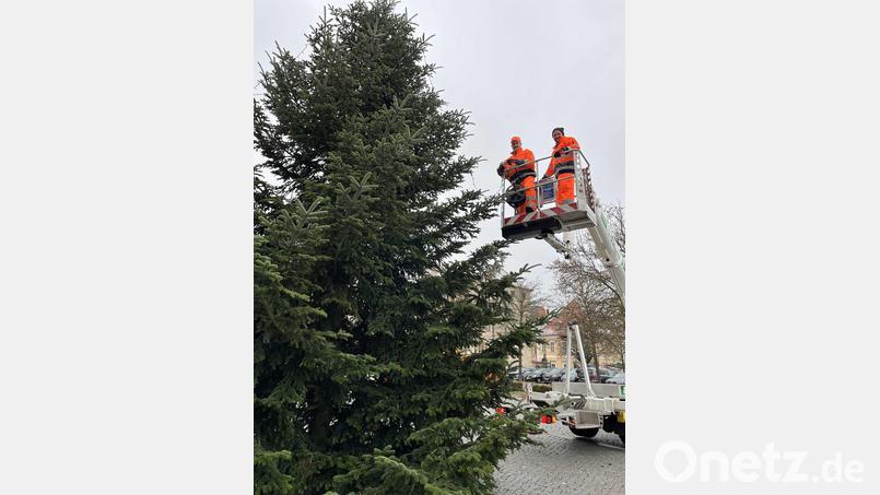 Die Bauhofmitarbeiter Thomas Scharl (links) und Andreas Hirsch stellen die Christbäume im Innenhof und auf dem Balkon des Landratsamtes auf. Bild: Christine Hollederer