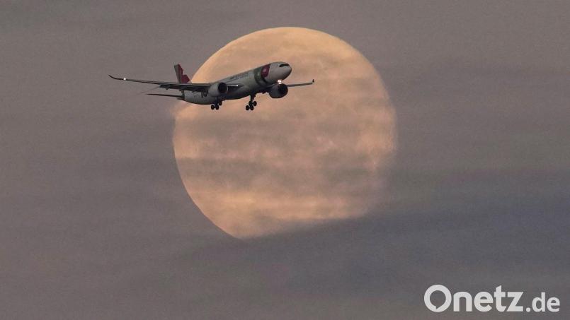 Die Lufthansa will bei der portugiesischen TAP einsteigen. Bild: Armando Franca/AP/dpa