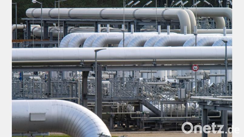 Ein mutmaßlich Beteiligter an den Nord-Stream-Anschlägen darf nach einer Entscheidung eines italienischen Gerichts an Deutschland ausgeliefert werden. (Archivbild) Bild: Stefan Sauer/dpa