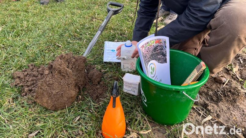 Bodenexperte Dr. Dominik Christophel zeigte, „wie die Düngung von Zwischenfrüchten die Bodenfruchtbarkeit stärkt“. Bild: Gabriele Jobst