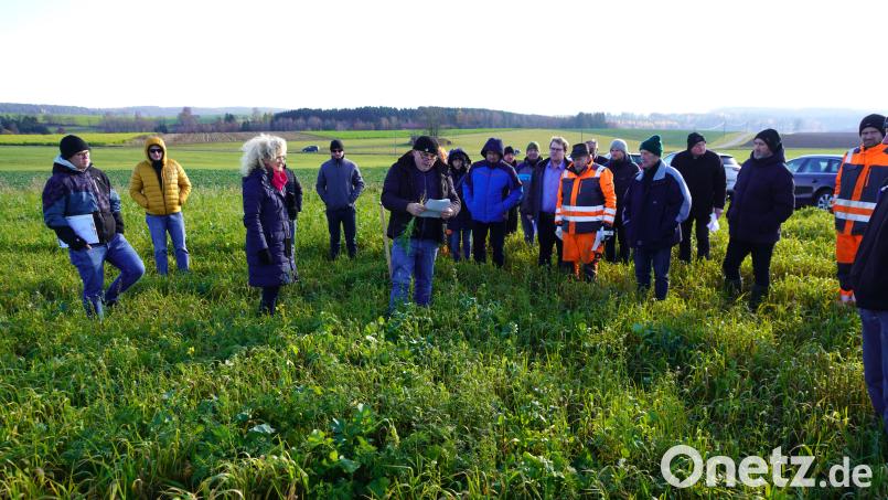 In Waldthurn sorgen die Landwirte für sauberes Trinkwasser. Pflanzenbaufachberater Martin Schreyer (AELF Weiden - vorne Mitte) analysiert die grundwasserschonende Bewirtschaftung im Waldthurner Wasserschutzgebiet zusammen mit der Wasserschutzbeauftragten Christine Griesbach (Dritte von links). Bild: fvo