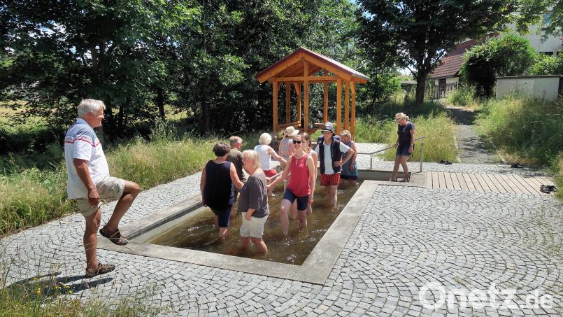 Neben Vorträgen brachten dem Kneippverein Friedenfels vor allem angebotene Kurse am Wassertretbecken stets zahlreiche Interessierte. Im Bild Vorsitzender Dieter Schraml (vorne links) mit einer Besuchergruppe beim Storchengang durch das Wassertretbecken. Archivbild: bsc