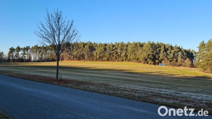 Noch liegt das Gebiet an der Steinfelser Straße bei Hütten ruhig da. Bald soll dort die Erschließung beginnen. Bild: sne