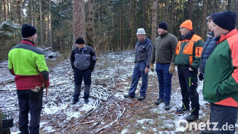 Revierförster Kevin Kraus (links) vermittelte Mitgliedern des Gemeinderats Illschwang interessante Informationen bezüglich des Waldumbaus bei Schöpfendorf. Bild: no