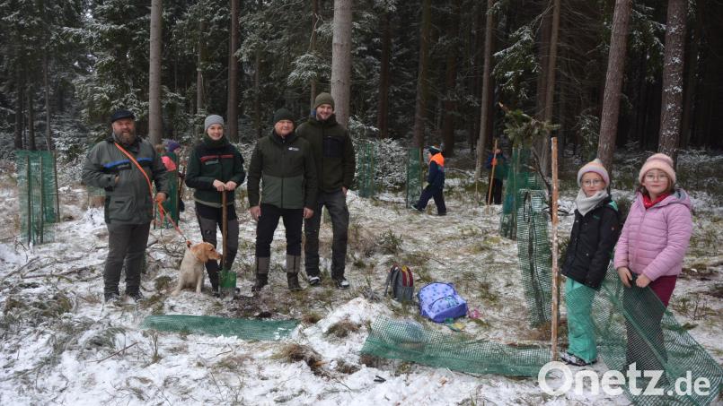 Gepflanzt wurde unter Aufsicht des Bayerischen Staatsforsten: Revierförsterin Johanna Hauke (Zweite von links) und Forstbetriebsleiter Norbert Zintl (Zweiter von rechts). Bild: jr