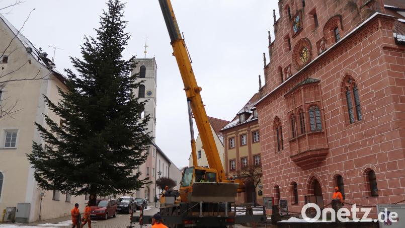 Noch eine 180-Grad-Drehung des Krans, dann schwebt der Baum vor dem Rathaus. Bild: mfh