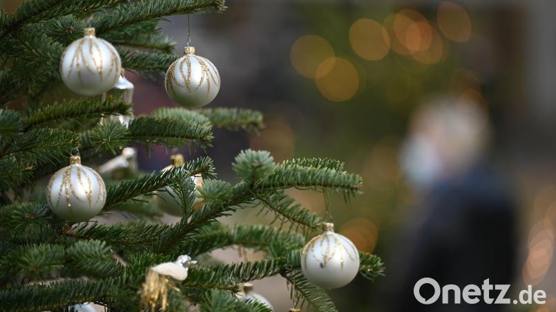 Der Lions Club Goldene Straße veranstaltet auch in diesem Jahr wieder einen Weihnachtsbaumverkauf. Symbolbild: Marijan Murat/dpa
