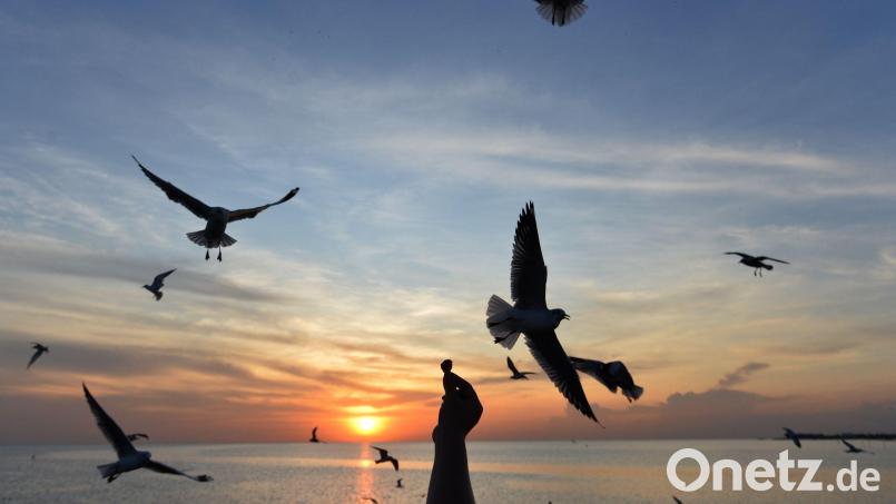 Sonnige Reiseziele sind laut Dertour besonders gefragt. (Archivbild) Bild: Rachen Sageamsak/XinHua/dpa