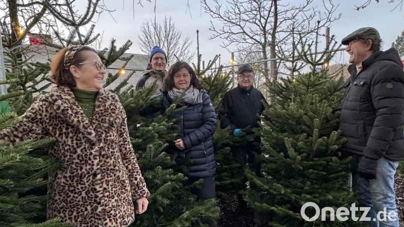 Die Mitglieder des LC Amberg-Sulzbach sind mittlerweile gefragte Baumverkäufer. Hier von links Präsidentin Patricia Pulkert,, Stefan Huber, Christine Arnold, Johann Frank und Martin Sterk. Bild: Omert