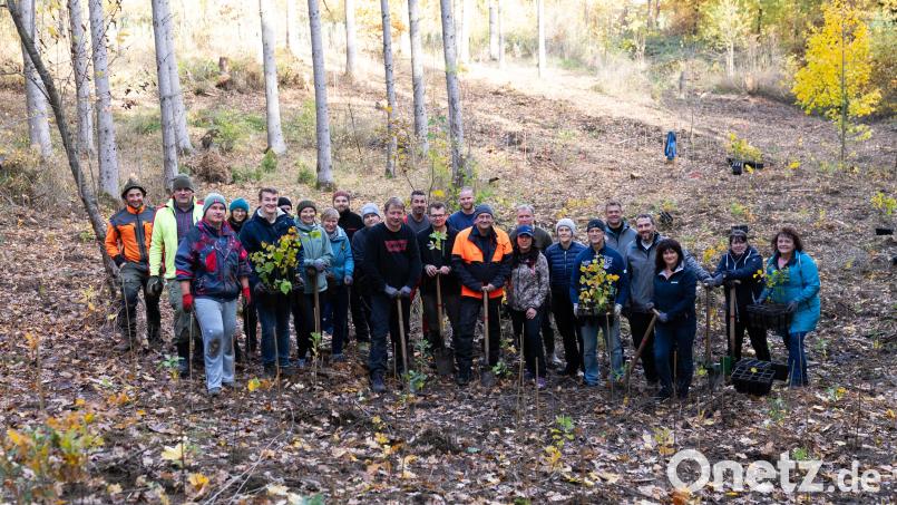 Bäume fürs Klima: die 24 freiwilligen Helferinnen und Helfer von Siemens Amberg bei der Pflanzaktion im Wald bei Ammerthal. Bild: Adrian Zimmermann
