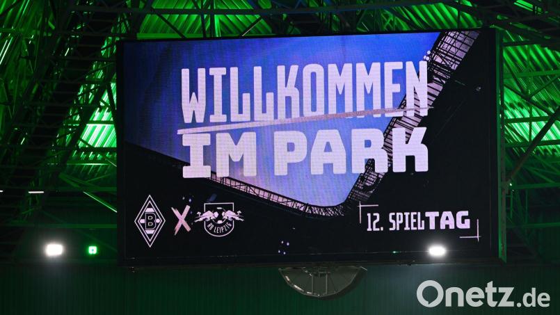 Zwölf Minuten schwiegen die Fans im Borussia-Park. Bild: Ulrich Hufnagel/dpa