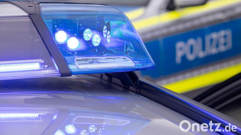 Eine tote Katze hängt mit einem Strick um den Hals an einem Ast am Ufer des Inn. (Symbolbild) Bild: Daniel Karmann/dpa