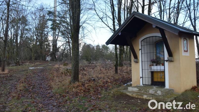 Der Marktgemeinderat stimmte der Wiederaufforstung am Tummelplatz zur. Die Heimkehrerkapelle dort war zu Beginn der 1950er-Jahre erbaut worden. Bild: bö