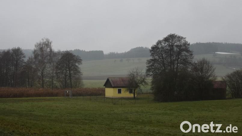 Das kleine Pflanzenbeet der Albersriether Kläranlage muss saniert werden. Los geht's, wenn es die Witterung zulässt. Bild: fla