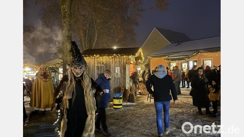 Mit ihren fantasievollen Masken und Kostümen sorgten die Trausnitzer Burgdeifln für Aufsehen. Bild: Julia Benkhardt [jbe]