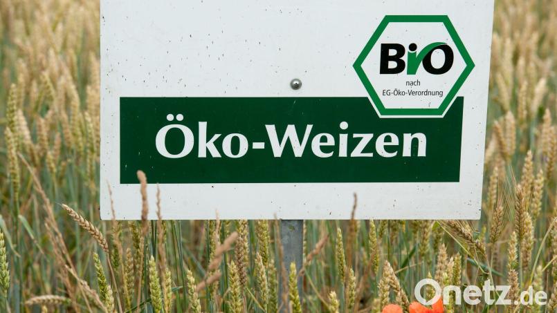 Der Ökolandbau ist in Bayern trotz gesetzlich festgelegter Ausbauziele noch immer eher die Ausnahme als die Regel. (Archivbild) Bild: picture alliance / dpa
