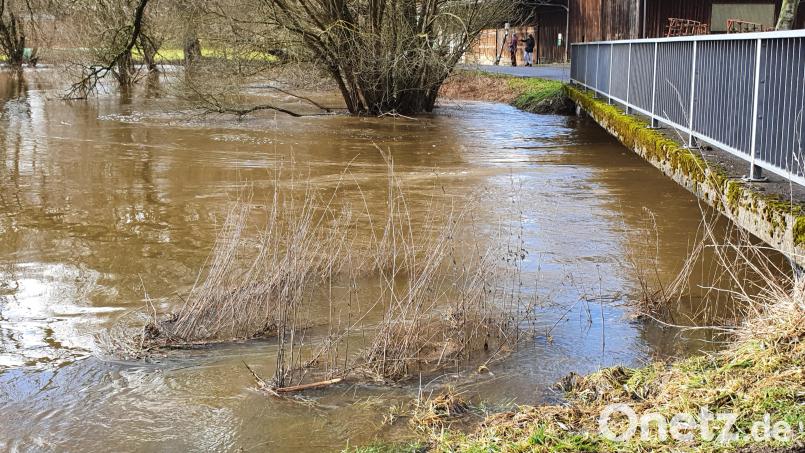 Das Wasserwirtschaftsamt Weiden aktualisiert das Überschwemmungsgebiet der Wondreb im Landkreis
Tirschenreuth Archivbild: hmr