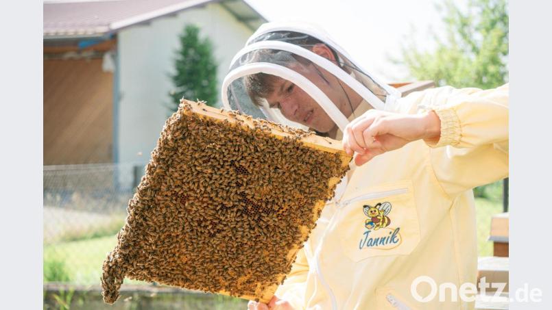 Jannik Bohmann bei der Arbeit mit seinen Bienen im elterlichen Garten in Siebeneichen. Bild: Bohmann privat