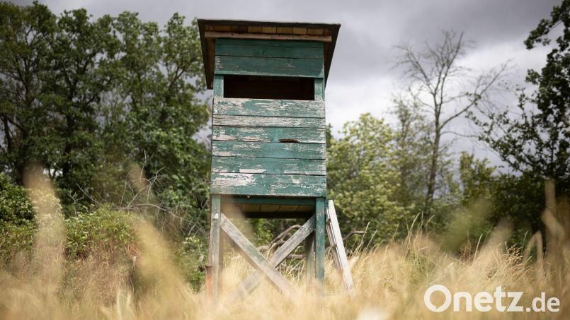 Das bayerische Jagdrecht wird reformiert. (Archivbild) Bild: Tim Würz/dpa