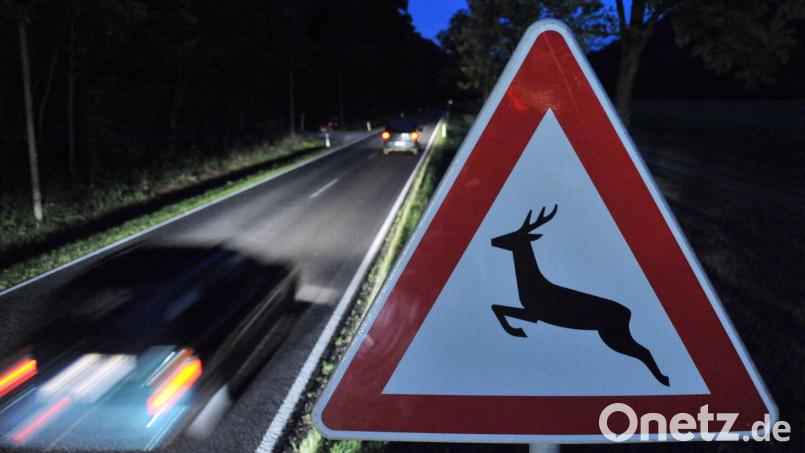 Ein Verkehrsschild warnt vor Wildwechsel. Symbolbild: Martin Schutt/dpa