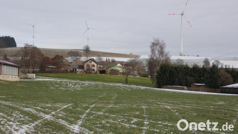 Auf dieser Fläche bei Ellenfeld wird die Agri-PV-Anlage entstehen. Im Hintergrund sind einige Windräder zu stehen Bild: kro