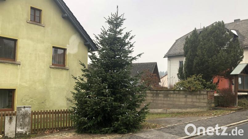 Der Weihnachtsbaum in der Fuchsmühler Marienstraße ist heuer das zweite Exemplar. Das Vorgänger wurde nach dem Aufstellen von den Mitarbeitern des gemeindlichen Bauhofes gleich wieder entfernt. Bild: wro