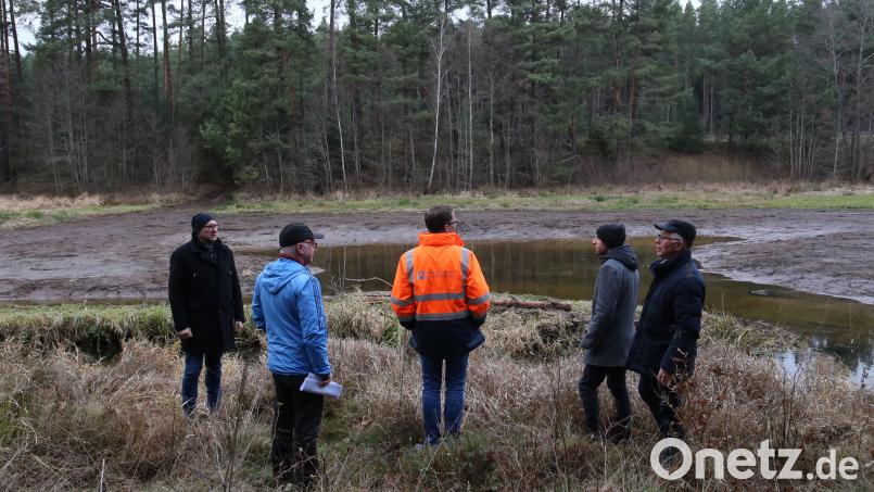 Die Rodungsarbeiten für die Ortsumgehung Mantel bei Röthenbach haben begonnen. Bild: Landkreis Neustadt a.d.Waldnaab / Marcel Weidner