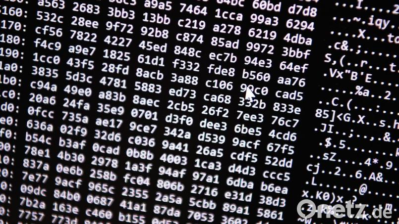 Die Ermittler vermuten eine hohe Dunkelziffer bei Opfern des Cyberbetrugs. (Symbolbild) Bild: Nicolas Armer/dpa