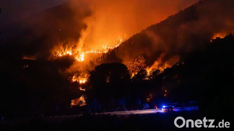 Ende August wüteten Waldbrände in Spanien. (Archivbild) Bild: Adrián Irago/EUROPA PRESS/dpa