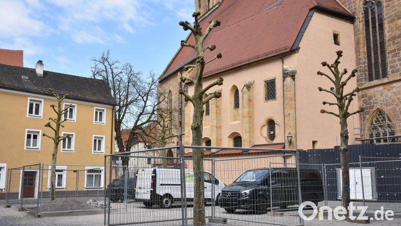 Die erste Maßnahme aus der Innenstadt-Million ist sichtbar: Der Salzstadelplatz in Amberg ist um vier hübsche Platanen reicher. Die Kastanie (im Hintergrund) sollte im Jahr 2008 übrigens gefällt werden. Bürger protestierten, jetzt steht sie heute noch und hat sogar grüne Gesellschaft bekommen. Bild: Stephan Huber