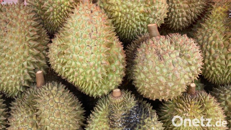 Wie ein Mix aus Klohäuschen und Sportsocke soll die auch Stinkfrucht genannte Durian riechen. In ihrer Heimat Südostasien gilt sie als Königin unter den Früchten. In Weiden sorgte die Vitaminbombe für einen Feuerwehreinsatz. Symbolbild: Carola Frentzen/dpa