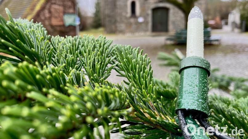 Der Störnsteiner Wetterbeobachter David Frahnow stellt uns mit statistische Daten auf Weihnachten ohne Schnee ein. Ob es tatsächlich nass oder trocken wird oder ob vielleicht doch Schnee fällt, lässt sich aus dem Blick in die Daten der Vergangenheit nicht ermitteln. Die Glaskerze am Baum vor der Störnsteiner Kirche taugt ebenso wenig für einen Blick in die Zukunft. Bild: Gabi Schönberger