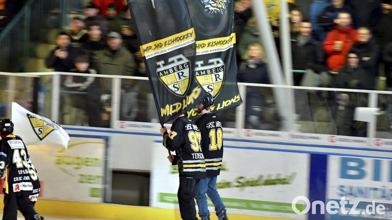 Der ERSC Amberg veranstaltet am Sonntag einen Sportfreunde-Tag. Symbolbild: Hubert Ziegler