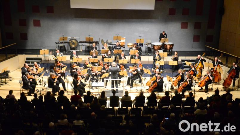 Das Sinfonieorchester der Stadt Weiden begleitet den Naturfilm. Bild: Kunz