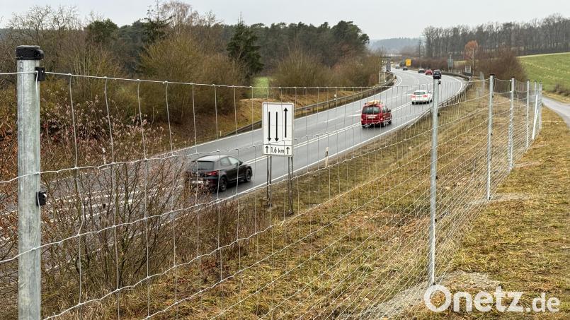 An der B85 zwischen Amberg und Karmensölden wurde links und rechts ein Wildzaun gebaut. Bild: Petra Hartl